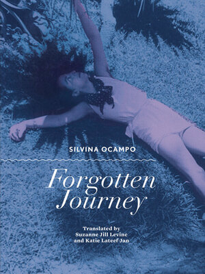 cover image of Forgotten Journey